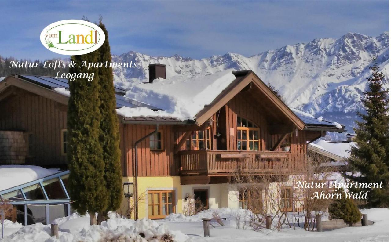 103 M2 Apartment Eschenwald Vomlandl Leogang Exterior foto